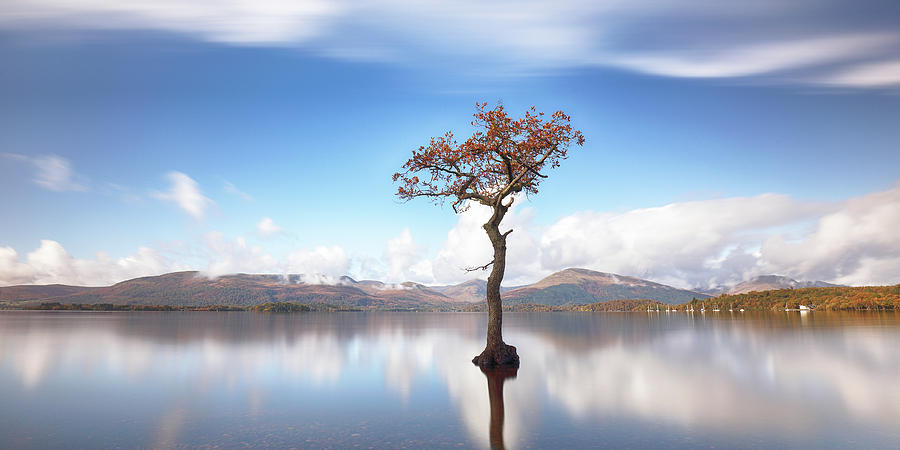 Lone Tree Photograph - Sunny afternoon on Loch Lomond by Grant Glendinning Lone Tree Photograph - Sunny afternoon on Loch Lomond by Grant Glendinning