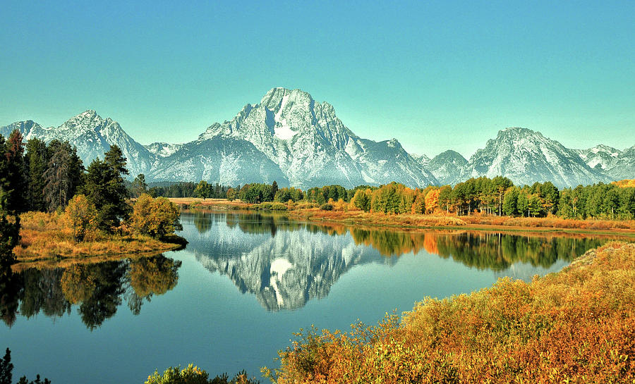 Sunny Day At Oxbow Bend Photograph by Ronnie Wiggin