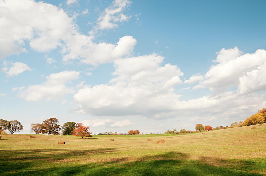 Sunny Day In Autumn Field With Hey Bales Photograph by Travelif