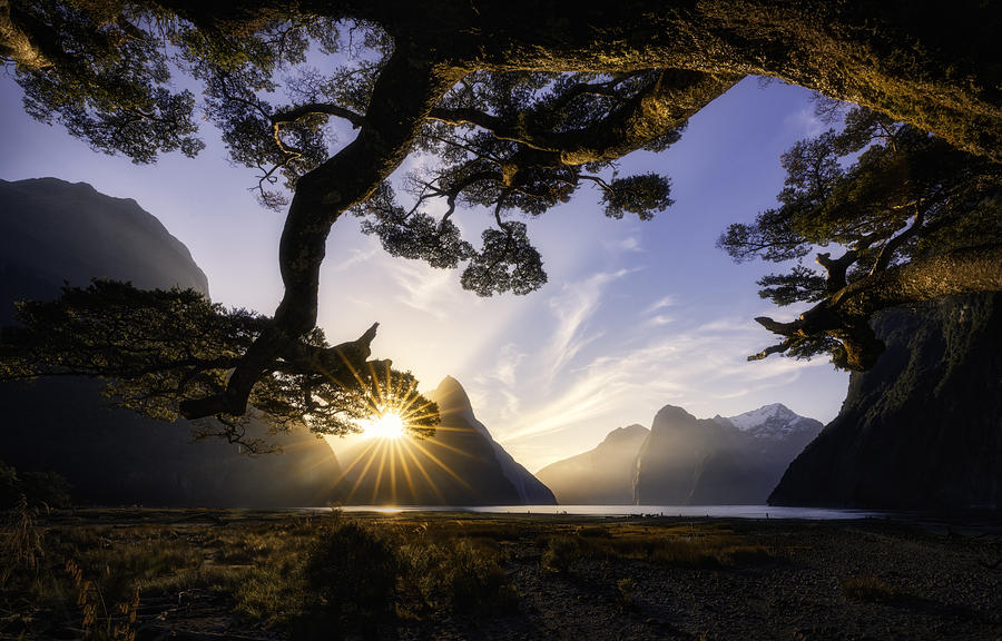Sunset Photograph - Sunny Day In Milford Sound by Jingshu Zhu