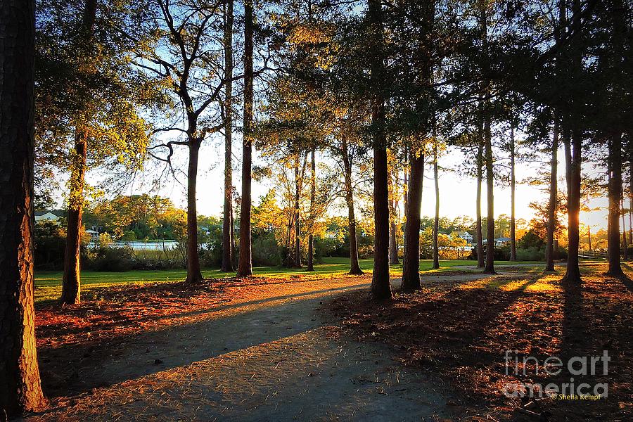 Sunny Evening Walk in the Park Photograph by Shelia Kempf