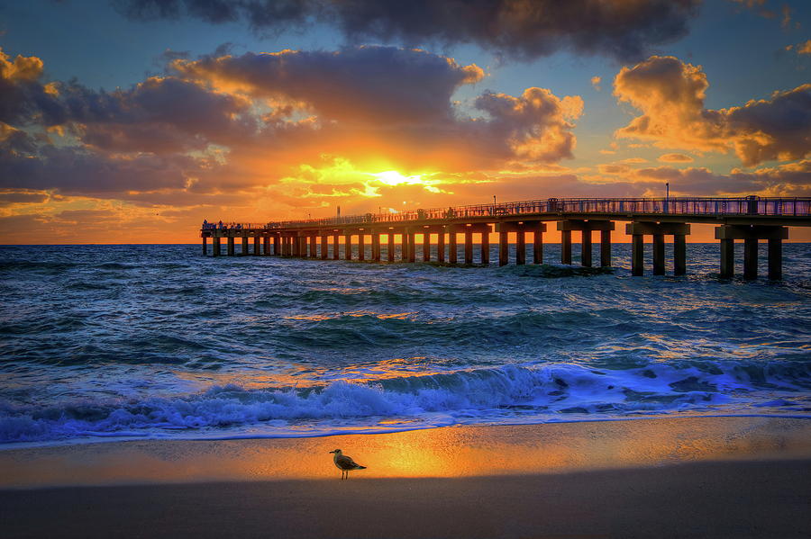 Sunny Isles Beach Pier Photograph by Peter Zicherman - Fine Art America