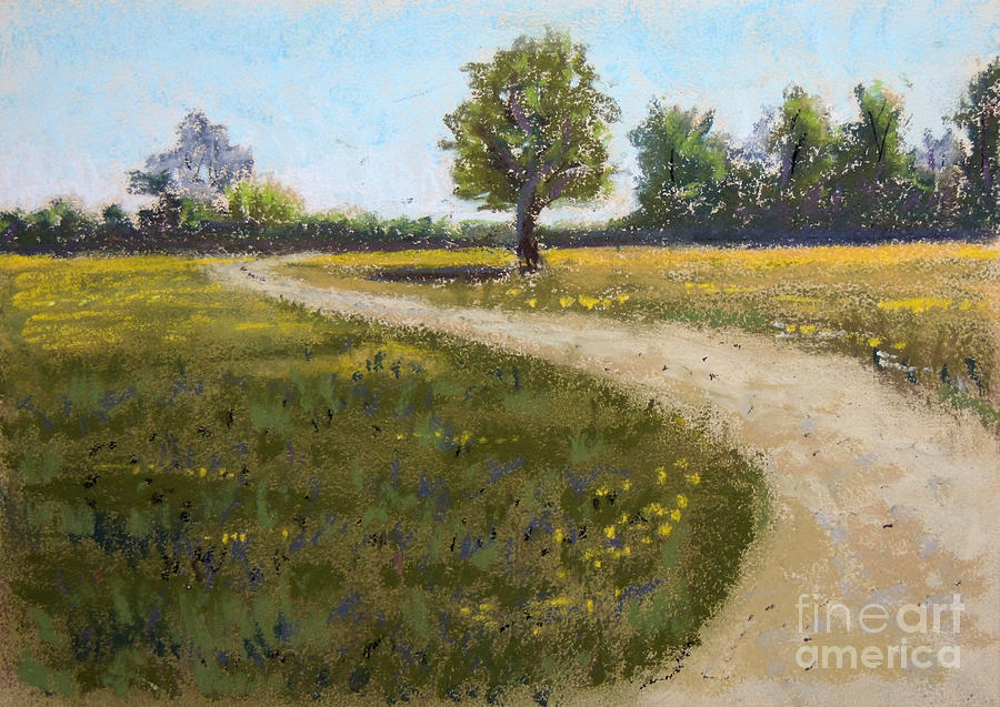 Sunny Meadow Pastel by Jayne Wilson