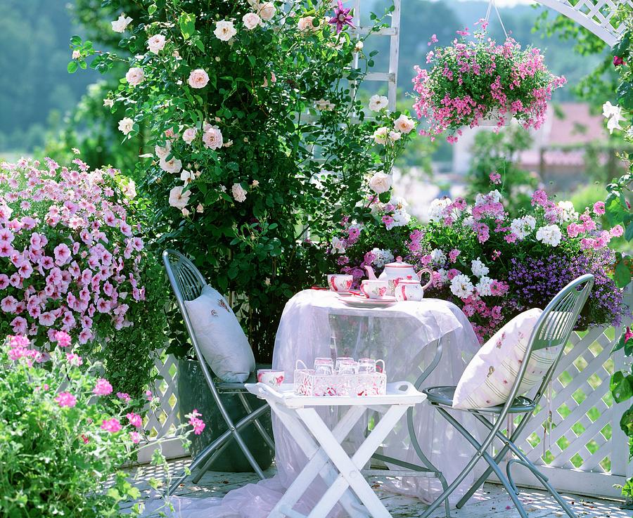Sunny Seating Area Amongst Fragrant Roses And Pink Flowering Hanging Baskets Photograph by Friedrich Strauss