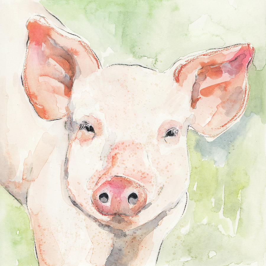 Sunny The Pig I Painting by Victoria Barnes - Fine Art America