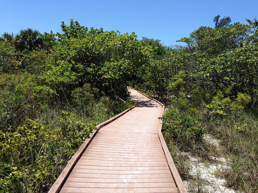 Sunny Tropical Boardwalk Photograph by Laura Smith