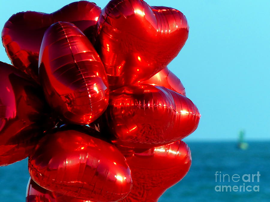 Sunny Valentines Day Photograph by Carlos Amaro - Fine Art America