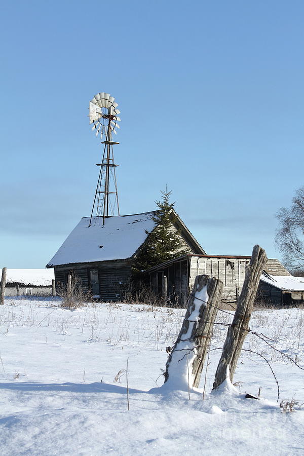 Sunny Winter Windmill Photograph by Teresa McGill - Fine Art America