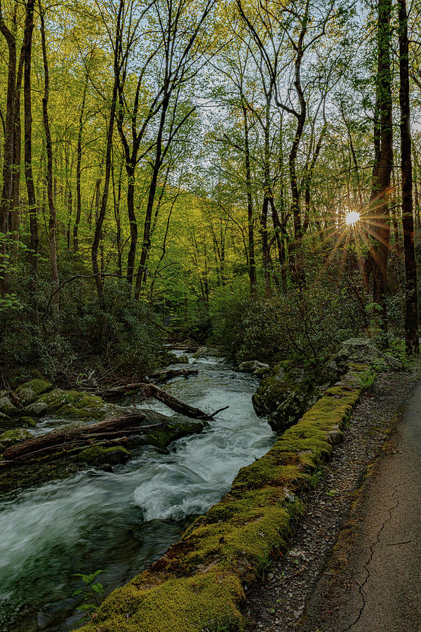 Sunrays along the Roaring Fork Photograph by Kelly Kennon