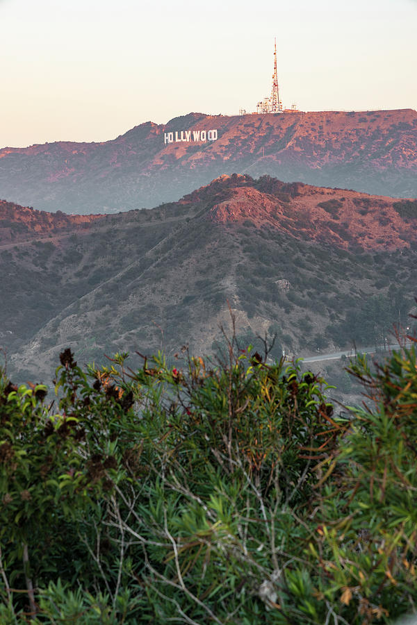 Sunris at the Hollywood Sign  Photograph by John McGraw