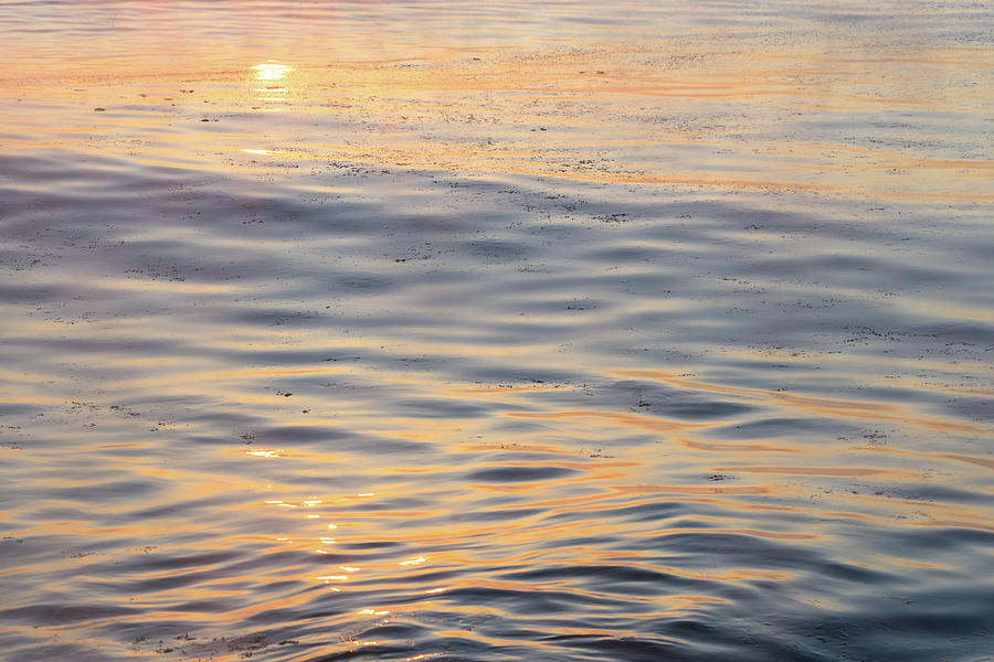Sunrise Abstract in Sleek Icy Satin - Take One Photograph by Georgia Mizuleva