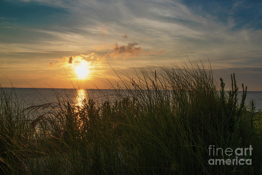 Beach Photograph - Sunrise and Seagrass by Linda Mesibov