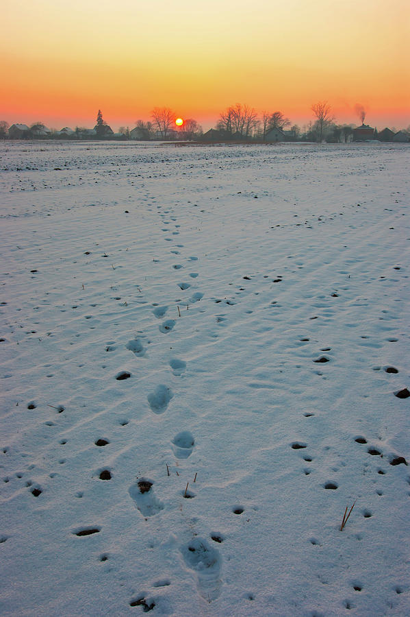 Sunset Photograph - Sunrise and winter by Anna Kluba