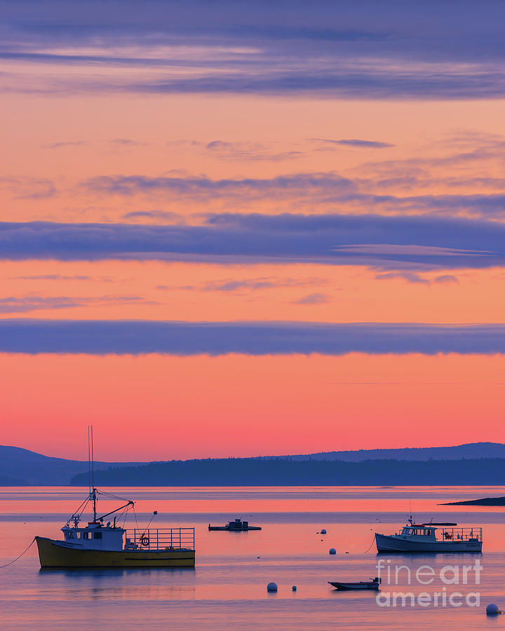 Sunrise At Bar Harbor, Maine, Acadia N.p. Photograph