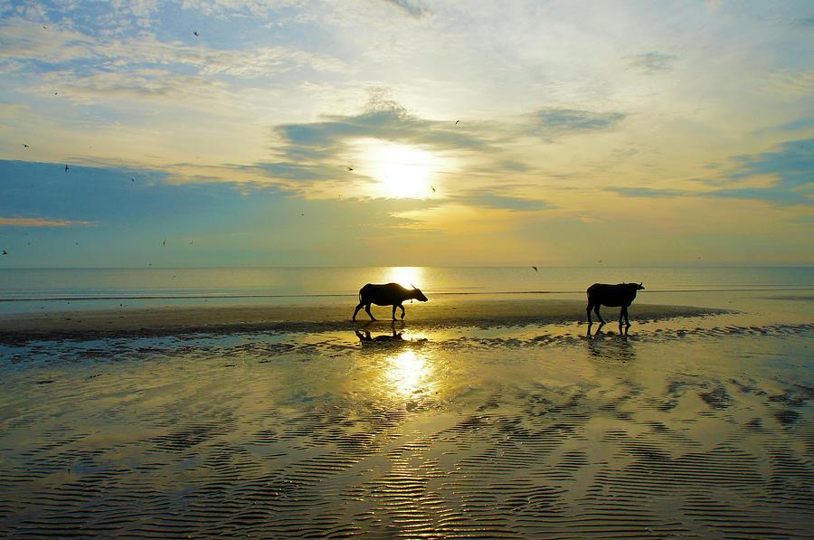 Sunrise At Pantai Sepat Photograph by Rauf Hussin