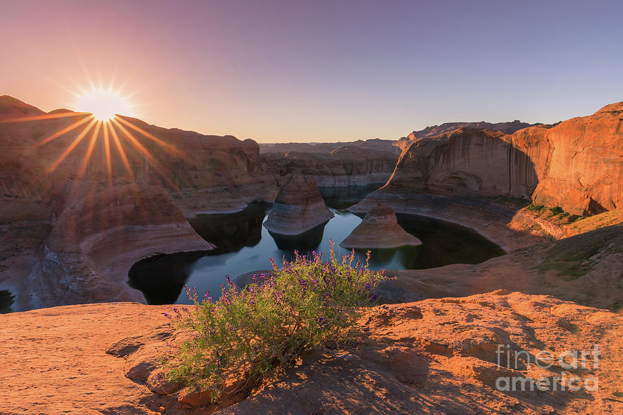 Sunrise at Reflection Canyon, Lake Powell, Utah Photograph by Henk Meijer Photography