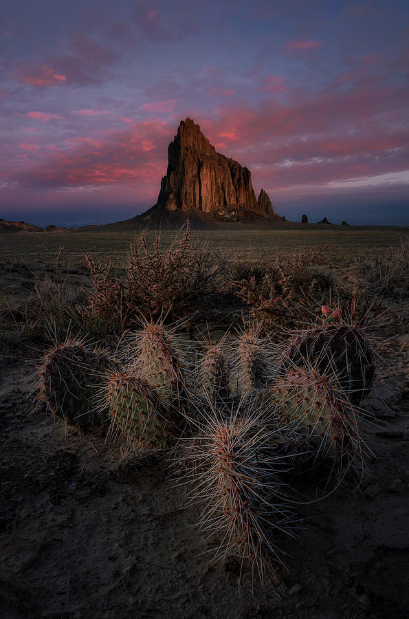Sunrise At Shiprock Photograph by Lydia Jacobs