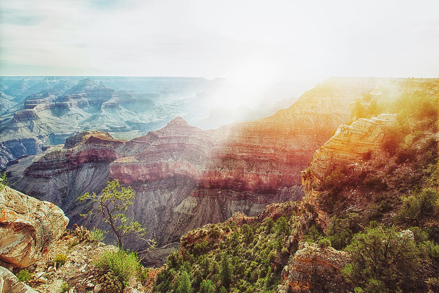 Sunrise At Southern Rim Of The Grand Photograph by Rebecca Nelson