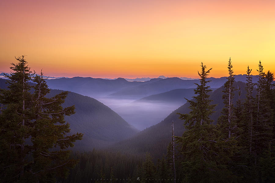 Mount Rainier National Park Photograph - Sunrise At Sunrise by Liguang Huang