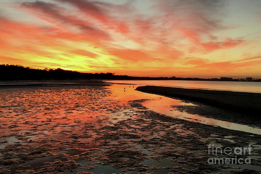 Sunset Photograph - Sunrise at the Beach by Meg Rousher