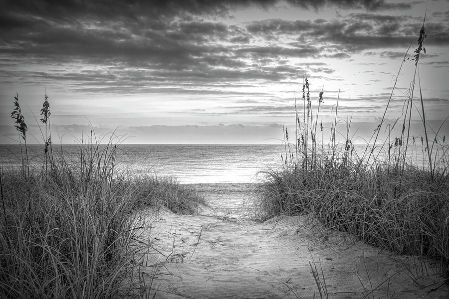 Sunrise at the Dunes Black and White Photograph by Debra and Dave Vanderlaan