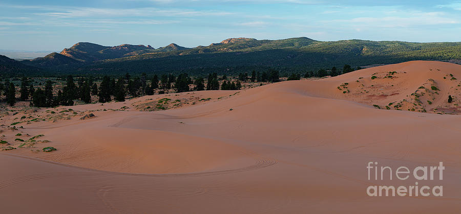 Coral Pink Sand Dunes Photograph - Sunrise at the Dunes D0862P by Stephen Parker