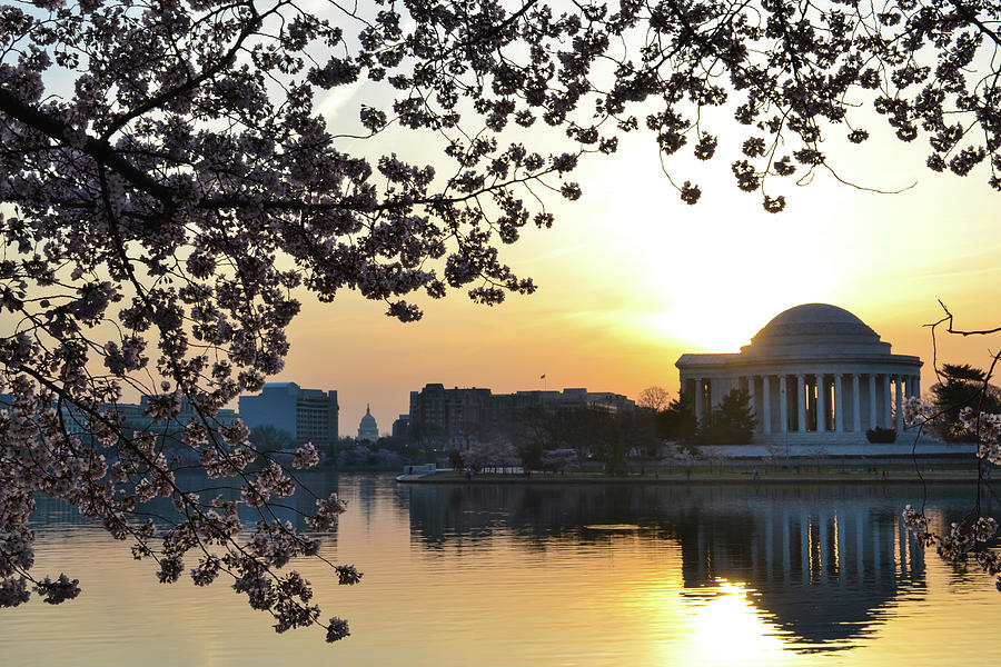 Jefferson Memorial Photograph - Sunrise at the Jefferson Memorial by Philip LeVee