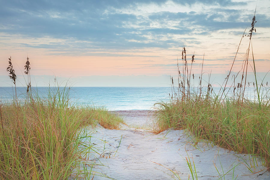 Sunrise at the Seaside Dunes Photograph by Debra and Dave Vanderlaan