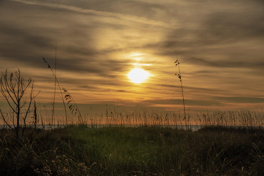 Sunrise Between Sea Grass No. 0408 Photograph by Dennis Schmidt