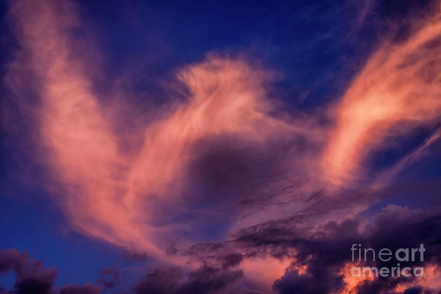Sunrise Eagle Shaped Cloud  Photograph by Thomas R Fletcher