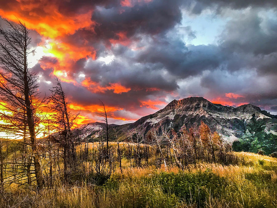 sunrise fire 001 by David Brookwell sunrise fire 001 by David Brookwell