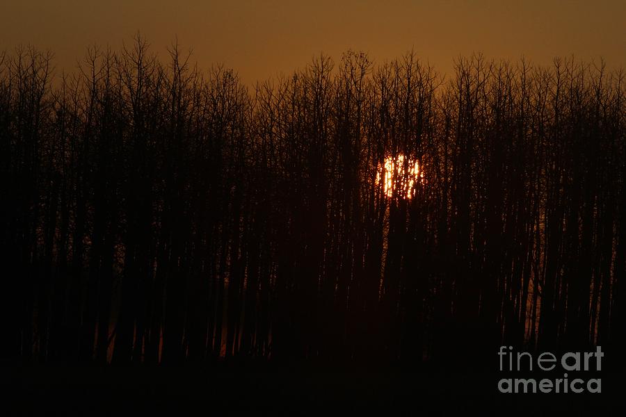 Sunrise Glow Photograph by Ann E Robson