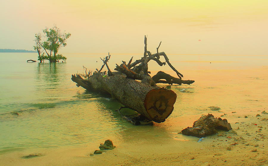 Sunrise, Havelock Island, Andaman Photograph by Mark Hollowell Sunrise, Havelock Island, Andaman Photograph by Mark Hollowell