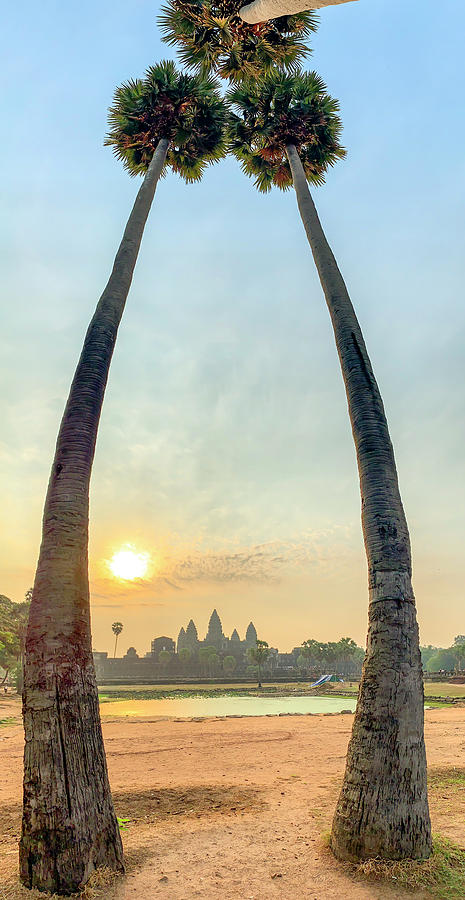 Sunrise in Angkor Wat framed in palm trees Photograph by Karen Foley