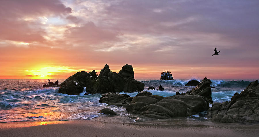 Paradise Photograph - Sunrise in Cabo San Lucas by Marcia Colelli