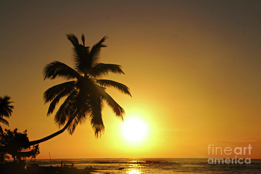 Sunrise in paradise Photograph by DecArt Decorative Art Photography ...