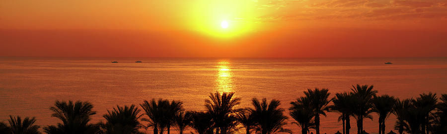 Sunrise in Ras Um El Sid Photograph by Sun Travels