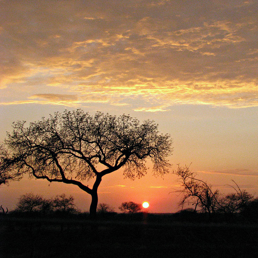 Sunrise In South Africa Photograph by Sandra Leidholdt