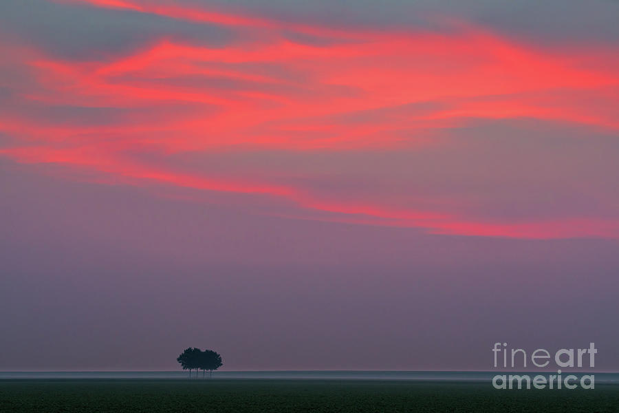 Sunrise In The Dutch Highlands 1 Photograph