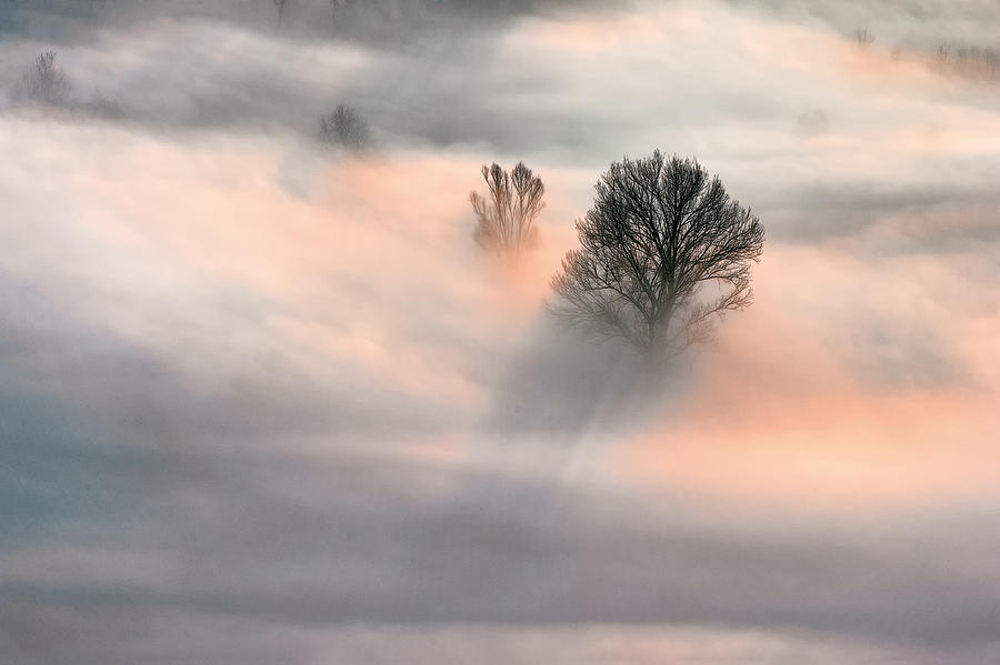 Sunrise In The Fog Photograph by Fiorenzo Rondi