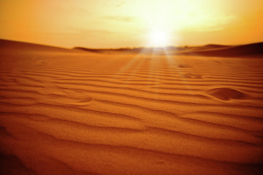 Sunrise In The Sahara Desert Photograph by Moreiso