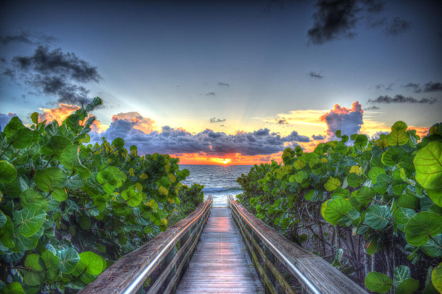 Sunrise Jupiter Beach Walk Photograph By Jt Gerosky 