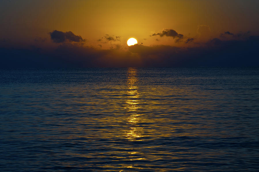 Sunrise, Lake Worth beach, Fl. Photograph by Edgar Estrada