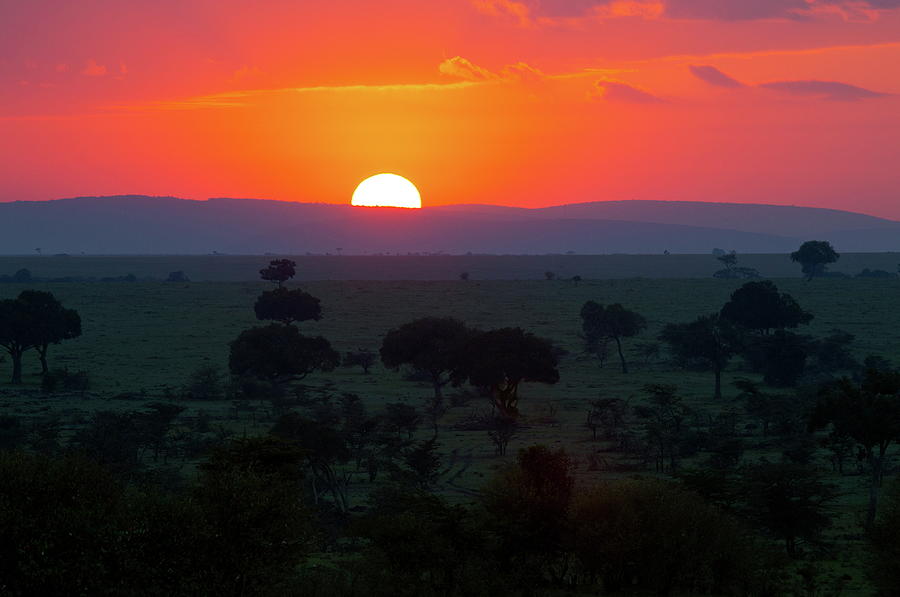Sunrise, Masai Mara, Kenya Digital Art by Hp Huber
