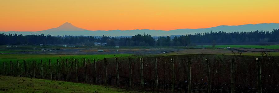 Sunrise Mt. Hood Wine Country Photograph by Jerry Sodorff