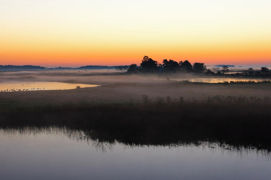 Sunrise On A Marsh Photograph by Williamsherman