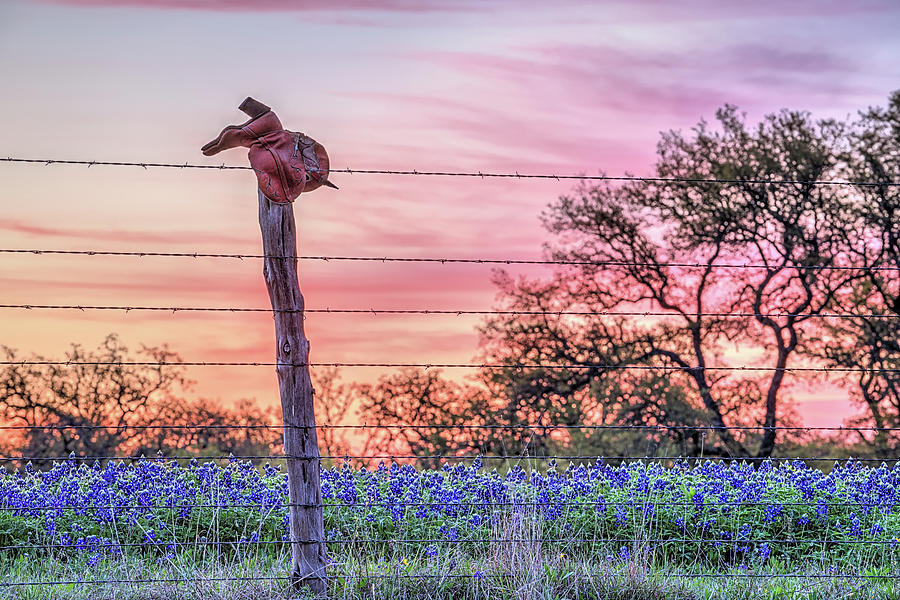 Sunrise on a Texas Ranch Photograph by JC Findley
