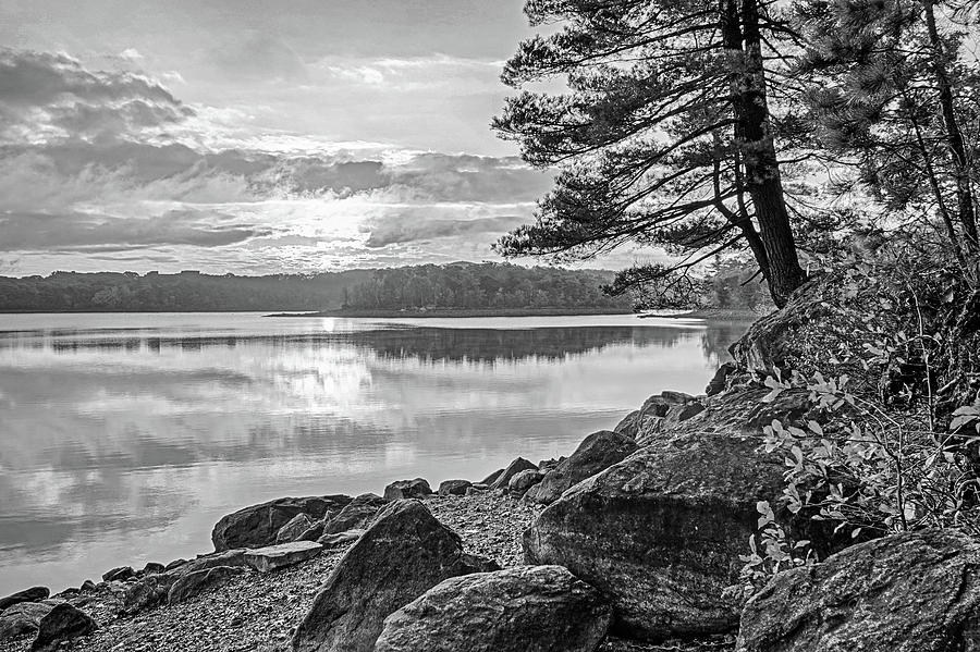 Sunrise on Breeds Pond Lynn Woods Lynn Massachusetts Black and White Photograph by Toby McGuire