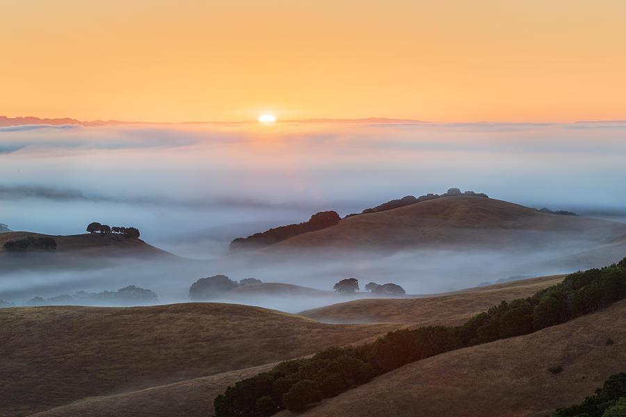 Sunrise On Fog Photograph by Ryan Li