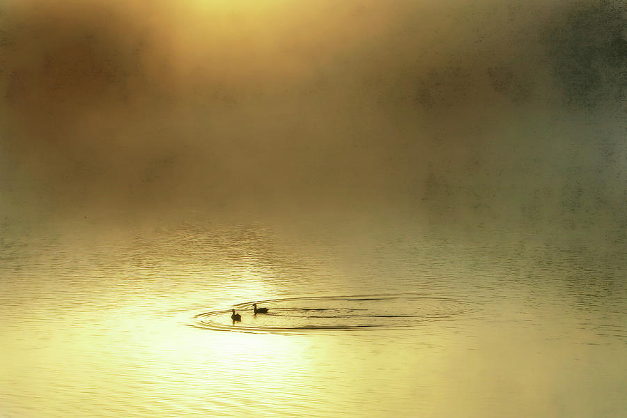 Sunrise on Shelly Lake 2 Photograph by Alan Hausenflock